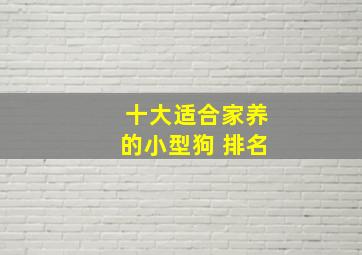 十大适合家养的小型狗 排名